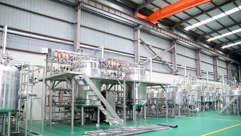 Complete Project Showcase