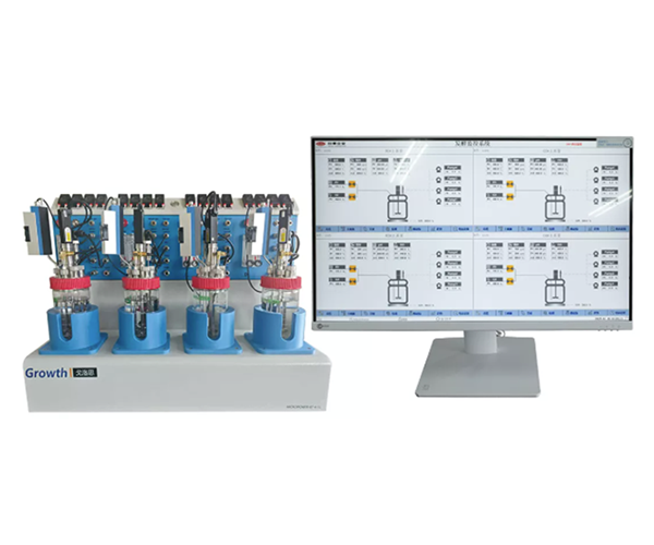 Glass Reactor System