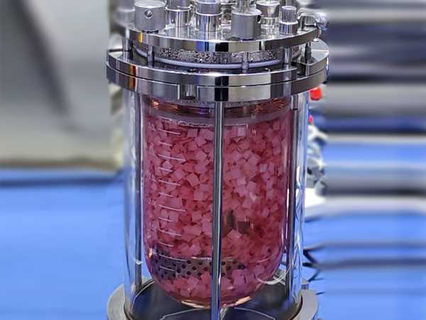 Glass Reactor System